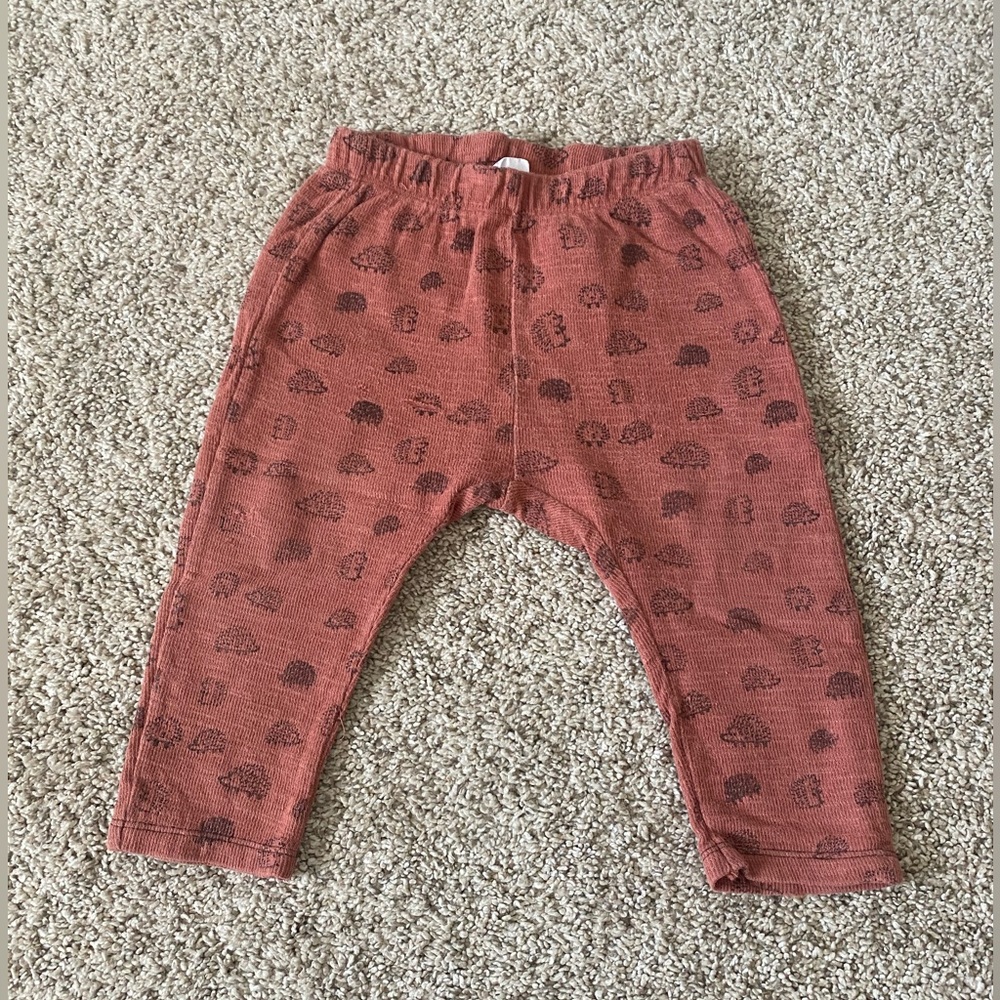 Zara baby boys hedgehog pants size 9-12 months